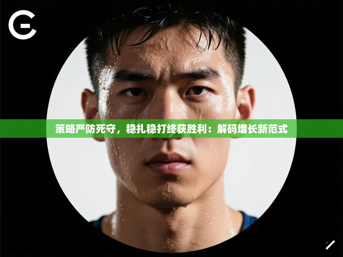 策略严防死守,稳扎稳打终获胜利:解码增长新范式 第2张